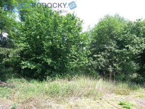 Prodej pozemku pro bydlení, Liběšice - Zimoř, 8000 m2