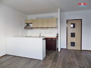 Pronájem bytu 1+kk, Ústí nad Labem - Krásné Březno, Obvodová, 32 m2