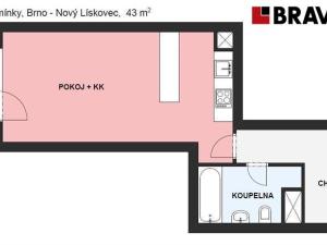 Pronájem bytu 1+kk, Brno, Kamínky, 44 m2