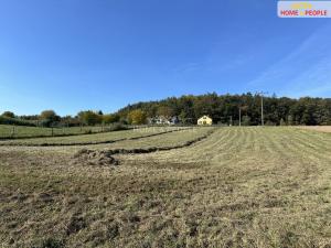 Prodej pozemku pro bydlení, Černé Voděrady, Černokostelecká, 1244 m2