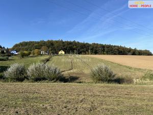 Prodej pozemku pro bydlení, Černé Voděrady, Černokostelecká, 1244 m2