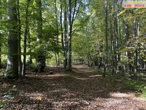 Prodej pozemku pro bydlení, Černé Voděrady, Černokostelecká, 1244 m2