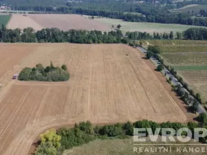 Prodej zemědělské usedlosti, Ploskovice - Těchobuzice, Těchobuzice, 1180 m2