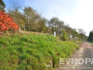 Prodej pozemku pro bydlení, Pečice - Pečičky, 2320 m2