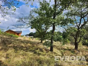Prodej pozemku pro bydlení, Pečice - Pečičky, 2320 m2