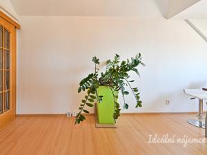 Pronájem bytu 3+kk, Brno - Královo Pole, Palackého třída, 91 m2