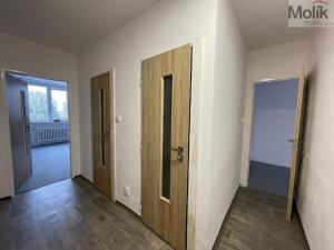 Pronájem bytu 3+kk, Litvínov - Horní Litvínov, U Zámeckého parku, 58 m2