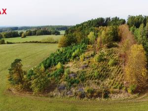 Prodej lesa, Kostelec nad Vltavou, 9437 m2