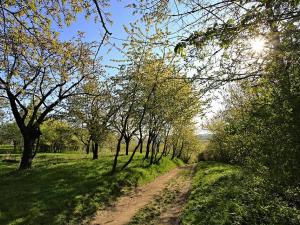 Prodej chaty, Roztoky, Na vyhlídce, 50 m2