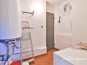 Pronájem bytu 4+kk, Ponětovice, 180 m2