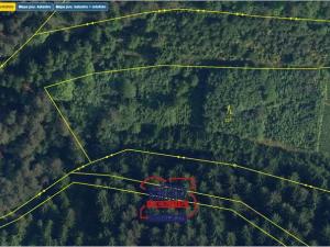 Prodej lesa, Český Dub - Starý Dub, 8772 m2