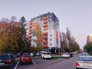 Pronájem bytu 1+kk, Valašské Meziříčí - Krásno nad Bečvou, Růžová, 24 m2