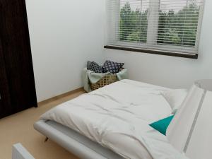 Pronájem bytu 2+kk, Čáslav - Čáslav-Nové Město, Boženy Němcové, 40 m2