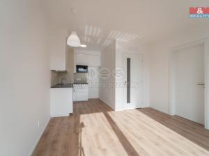 Pronájem bytu 2+kk, Beroun - Beroun-Město, U Židovského hřbitova, 44 m2