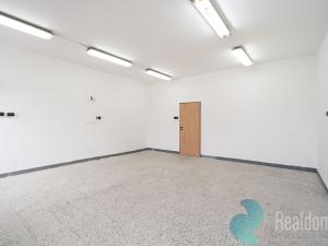 Pronájem výrobních prostor, České Budějovice, 319 m2