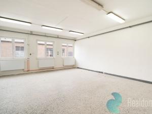 Pronájem výrobních prostor, České Budějovice, 128 m2