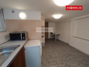 Pronájem bytu 1+kk, Zlín - Příluky, 24 m2