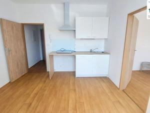 Pronájem bytu 1+1, Cheb, Dragounská, 39 m2