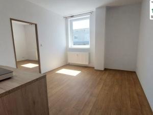 Pronájem bytu 1+1, Cheb, Dragounská, 39 m2