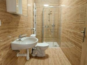 Pronájem bytu 1+1, Cheb, Dragounská, 39 m2