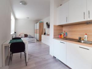 Pronájem bytu 1+kk, Brno - Žebětín, Žabí, 40 m2