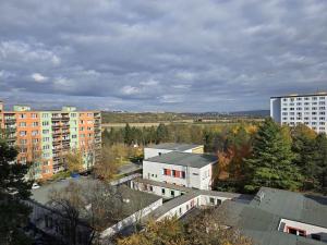 Prodej bytu 2+1, Plzeň, Karla Steinera, 58 m2