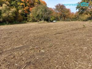 Prodej pozemku pro bydlení, Košťany - Střelná, 35279 m2