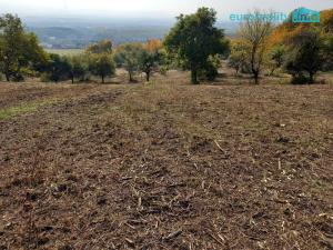 Prodej pozemku pro bydlení, Košťany - Střelná, 35279 m2