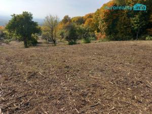 Prodej pozemku pro bydlení, Košťany - Střelná, 35279 m2