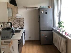 Pronájem bytu 2+1, Děčín - Děčín IX-Bynov, Na Pěšině, 47 m2