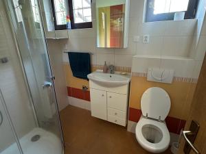 Pronájem bytu 2+kk, České Budějovice - České Budějovice 5, J. Jindřicha, 60 m2
