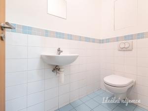 Pronájem bytu 2+kk, Praha - Hloubětín, Nepelova, 58 m2