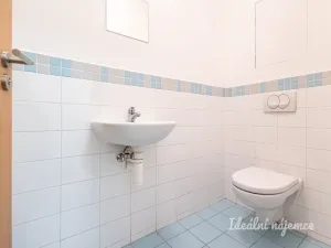 Pronájem bytu 2+kk, Praha - Hloubětín, Nepelova, 58 m2