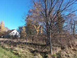 Prodej rodinného domu, Třemešná - Rudíkovy, 2531 m2