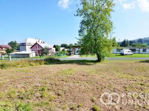 Prodej pozemku pro bydlení, Zlaté Hory, Pod Zámečkem, 1258 m2