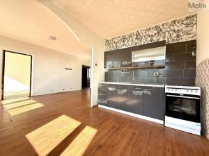 Prodej bytu 4+1, Litvínov - Janov, Hamerská, 73 m2