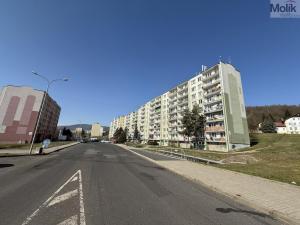 Prodej bytu 4+1, Litvínov - Janov, Hamerská, 73 m2