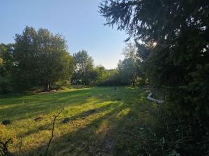 Prodej pozemku pro bydlení, Tuchlovice - Srby, 554 m2