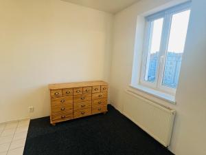 Pronájem bytu 1+kk, Plzeň - Jižní Předměstí, Raisova, 38 m2
