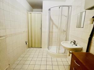 Pronájem bytu 1+kk, Plzeň - Jižní Předměstí, Raisova, 38 m2