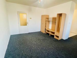 Pronájem bytu 1+kk, Plzeň - Jižní Předměstí, Raisova, 38 m2