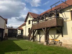 Prodej vícegeneračního domu, Bor - Kosov, 7880 m2