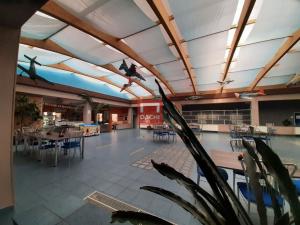 Pronájem kanceláře, Olomouc, Šlechtitelů, 36 m2