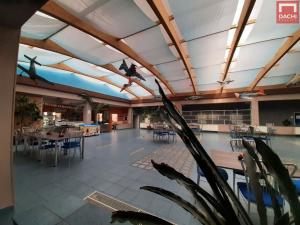 Pronájem kanceláře, Olomouc, Šlechtitelů, 36 m2