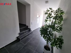 Pronájem bytu 1+kk, Česká Třebová, Litomyšlská, 30 m2