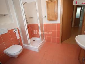 Prodej rodinného domu, Velká Hleďsebe, Oty Pavla, 110 m2
