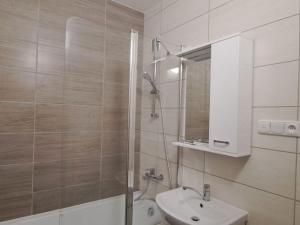 Pronájem bytu 1+kk, Jihlava, Za Prachárnou, 43 m2