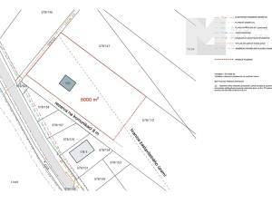 Prodej pozemku pro bydlení, Říčky, 5000 m2