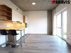 Pronájem bytu 1+kk, Brno - Horní Heršpice, Bohunická, 35 m2