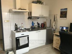 Pronájem bytu 1+kk, České Budějovice - České Budějovice 6, Mánesova, 22 m2